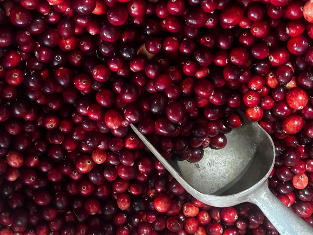 Cranberries and cranberry juice for urinary wellness